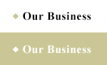 Our Business